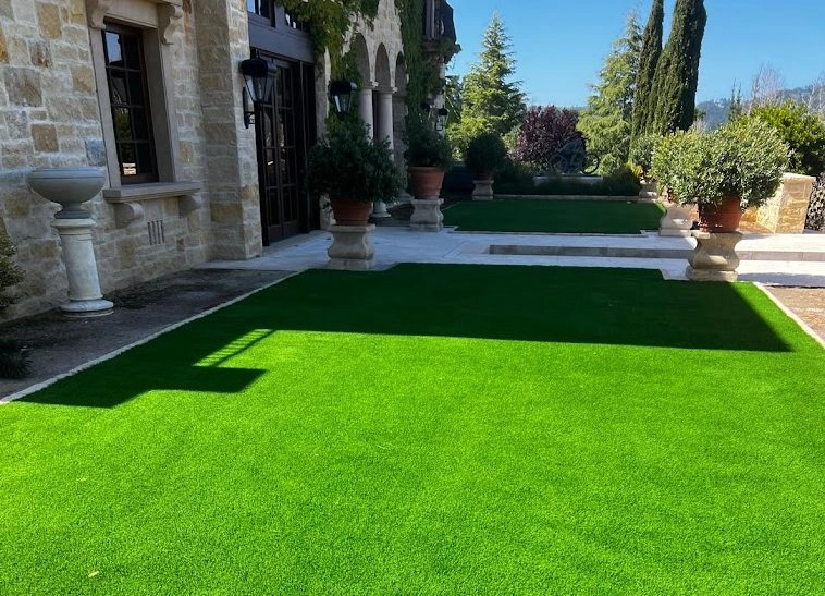 Modern Garden